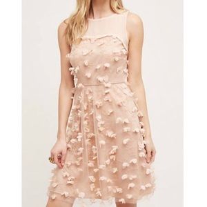 Eva Franco Pink Blush Flutter Fleur Tulle Floral Dress by Anthropologie size 2